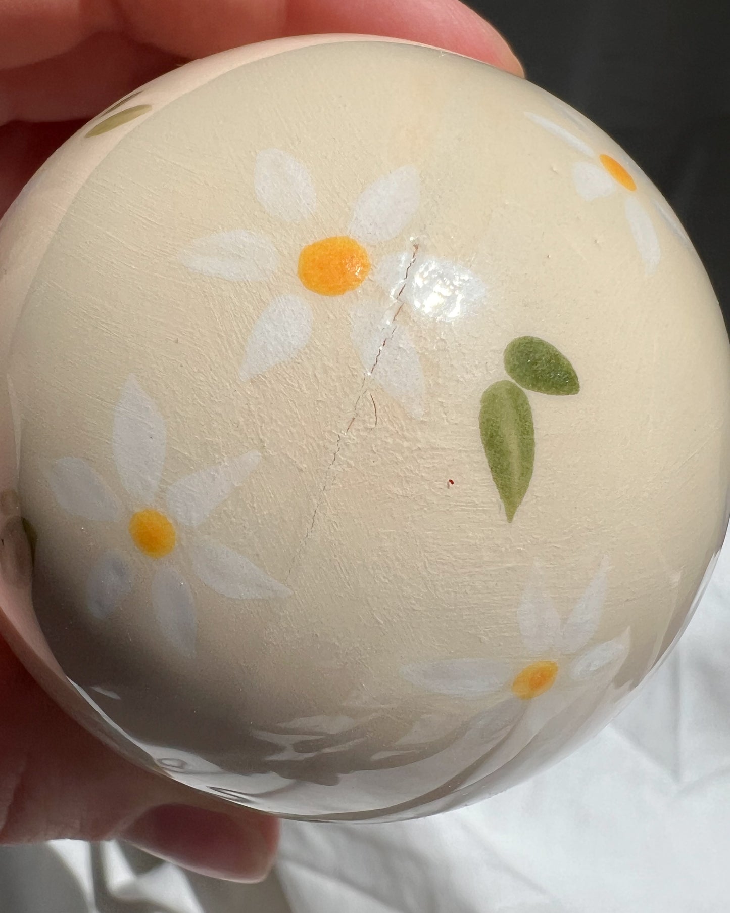 Daisy Egg Outlet